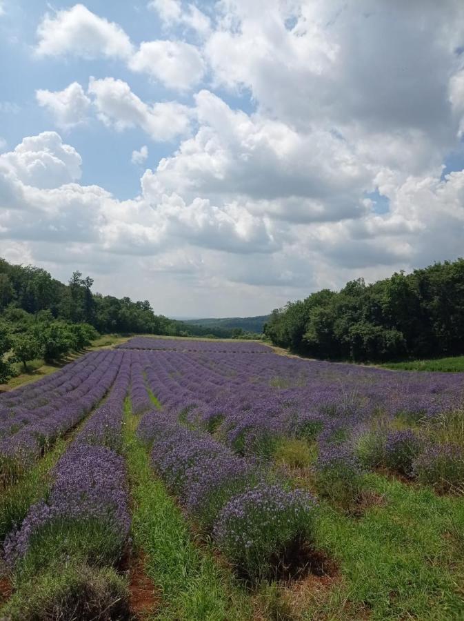 Alloggio La Perla, Quiete Ed Eleganza Con Vista Barbarano Vicentino Exterior foto