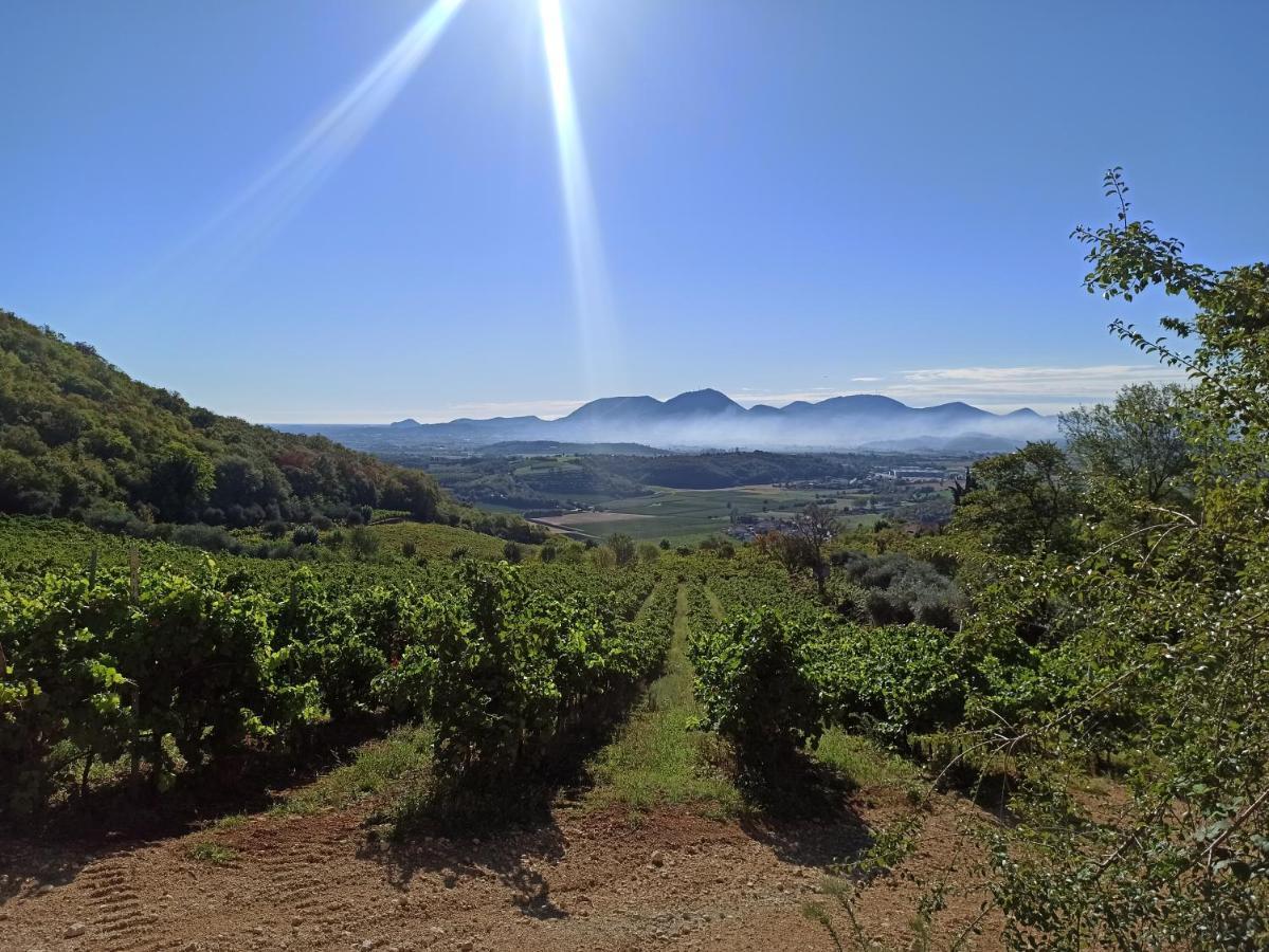 Alloggio La Perla, Quiete Ed Eleganza Con Vista Barbarano Vicentino Exterior foto