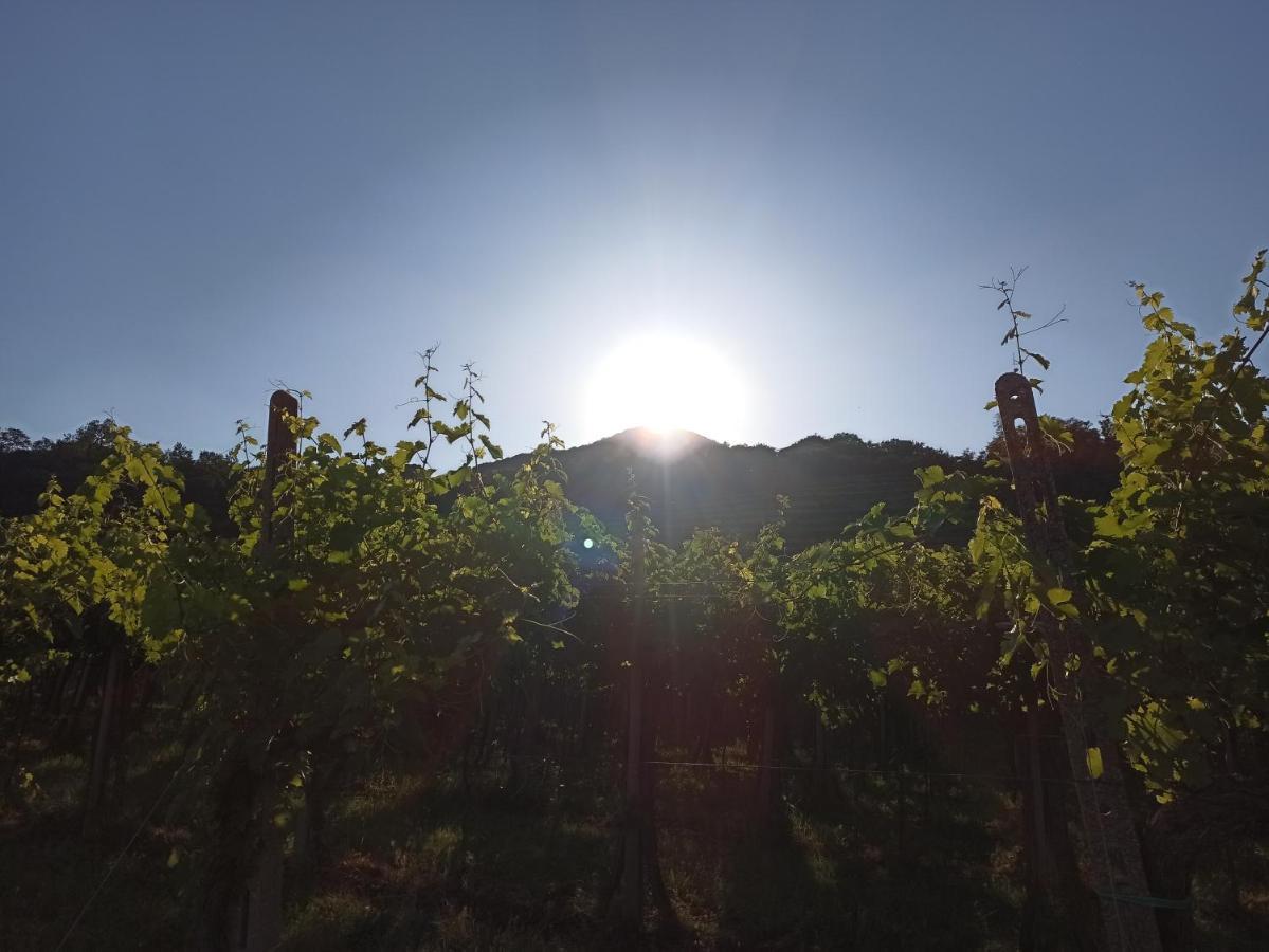 Alloggio La Perla, Quiete Ed Eleganza Con Vista Barbarano Vicentino Exterior foto