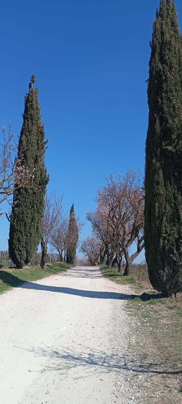 Alloggio La Perla, Quiete Ed Eleganza Con Vista Barbarano Vicentino Exterior foto